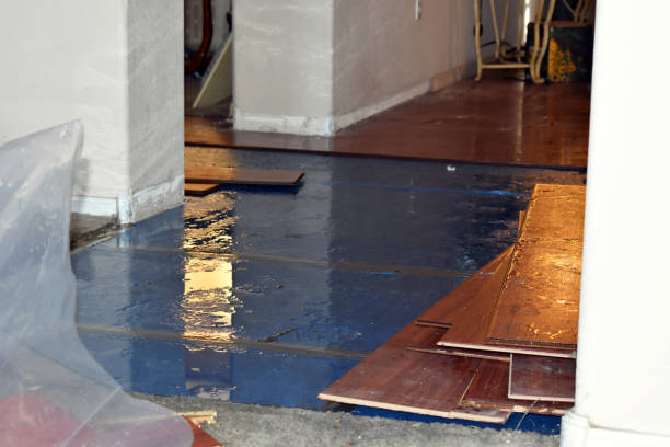 Professional Water Damage technician working in Delton, MI